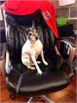 daycare pic 68 - gus gus